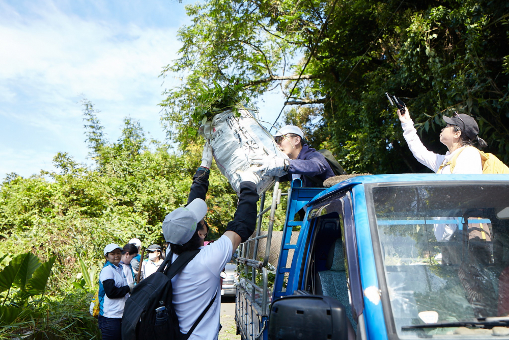 友達串聯志工組成水環境巡守隊，針對霄裡溪沿岸3公里的小花蔓澤蘭，定期進行移除與防治工作